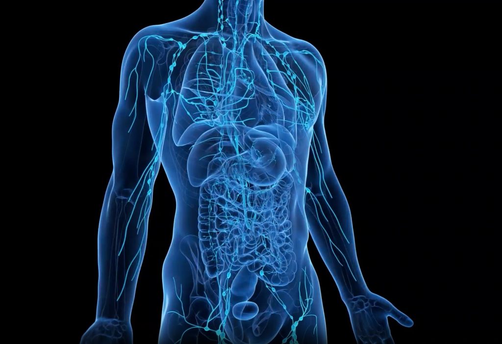 6 ways to boost lymphatic health - Flowpresso®