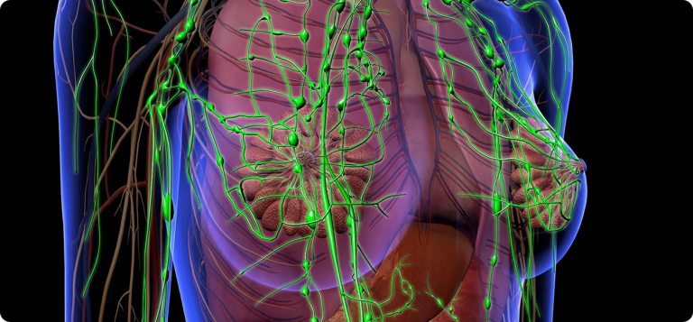 What are Lymph Nodes | Function, Location & Importance